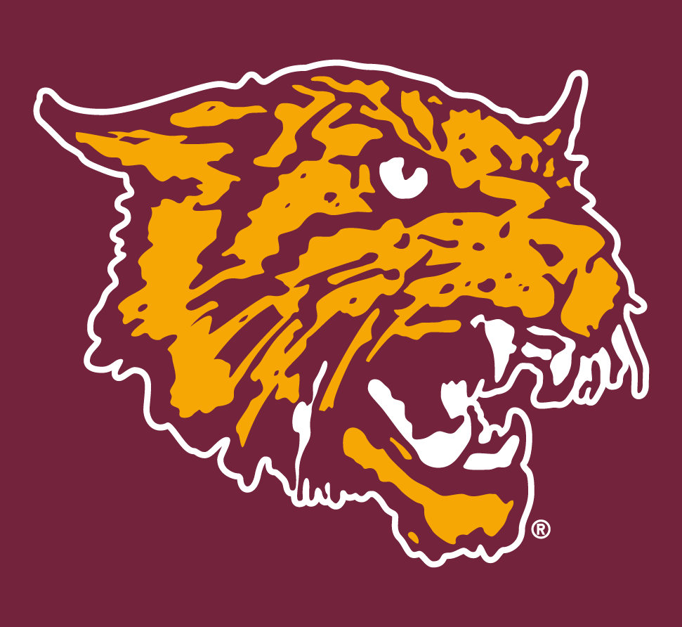 Bethune-Cookman Wildcats 2000-2015 Alternate Logo DIY iron on transfer (heat transfer)